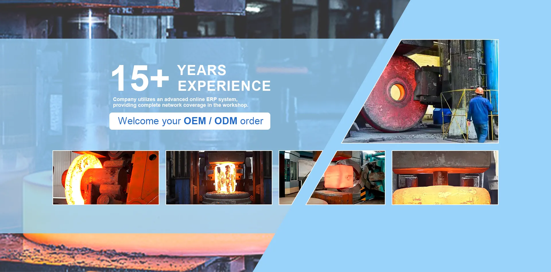 लोंगन के बारे में